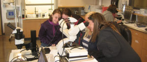 AQS Students Looking Through Microscope