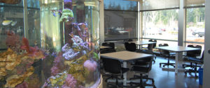 AQS Building with Fish Tank