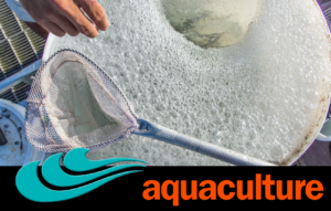 Aquaculture