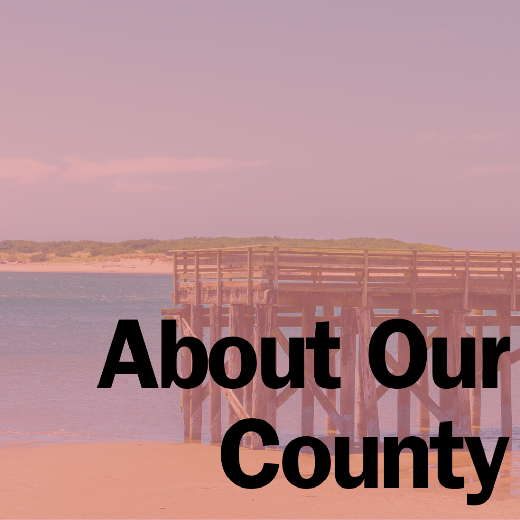 Scenic shot of Taft Pier and text About Our County