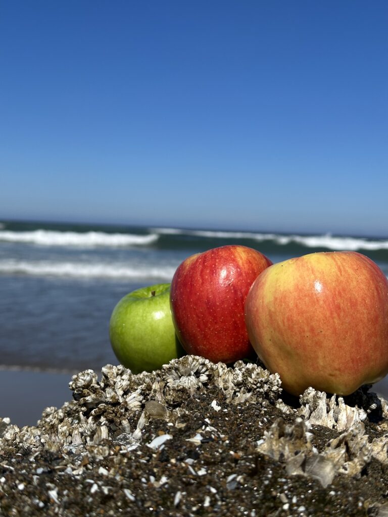 APPLES ON THE BEACH