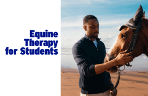 Equine Therapy