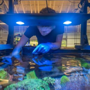 AQS Student with corals