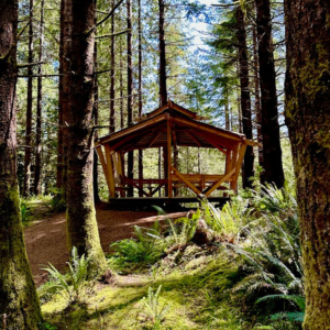 Covered gathering building in the woods