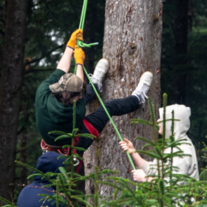 Young person helping another young person climbing a tree