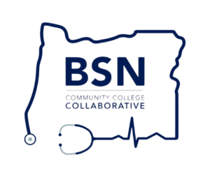 BSN Logo