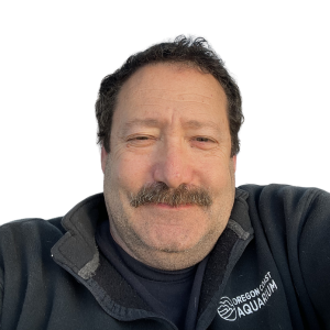 Steve Vogel